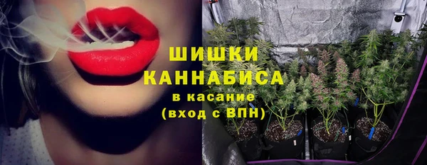 индика Верхнеуральск