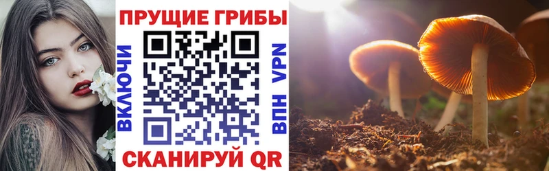 Псилоцибиновые грибы мицелий  гидра tor  Вышний Волочёк 